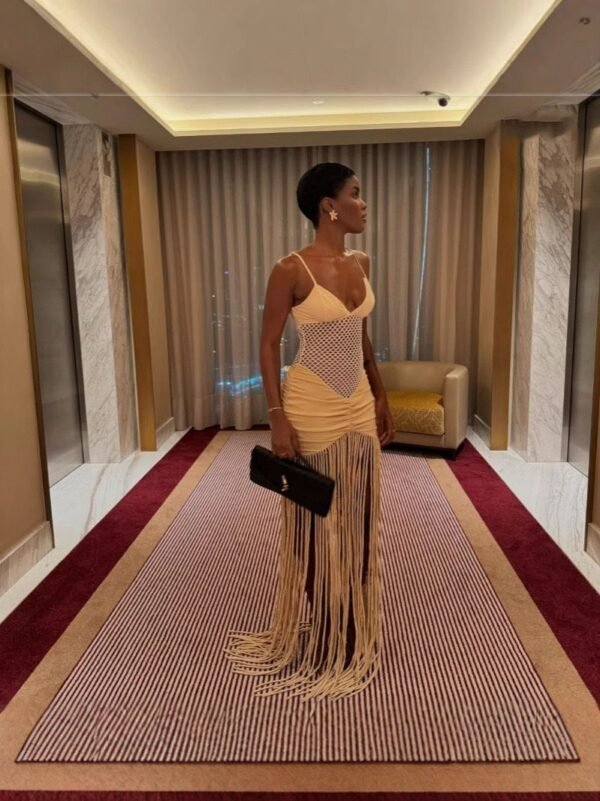 Mesh Pleated Hip-Wrap Tassel Maxi Dress